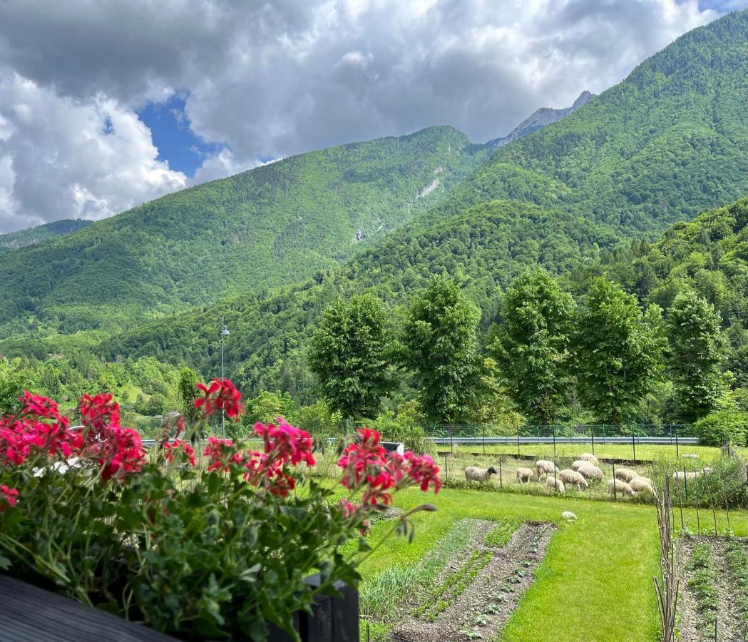 Aparthotel Residenza La Ciasa Claut Exterior foto